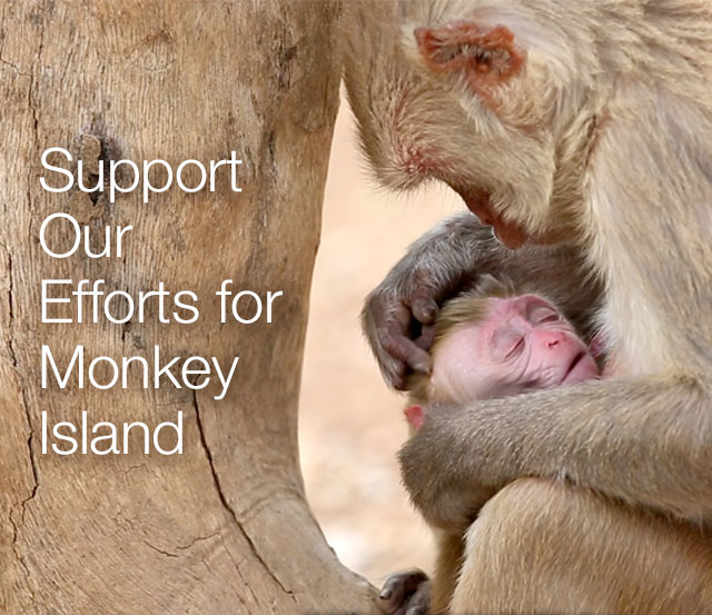 There's still time to send a meaningful gift!