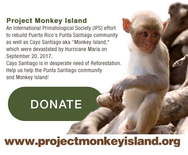 Our Work in Cayo Santiago and Punta Santiago - help us continue! DONATE today.