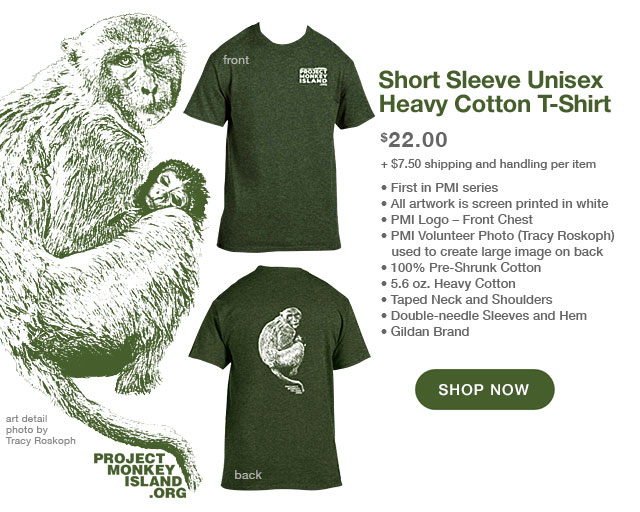 Short Sleeve Unisex Heavy Cotton T-Shirt, $22.00 + s&h